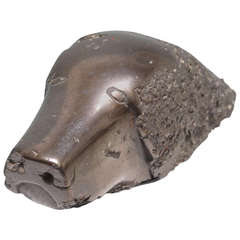 Anthracite Coal Carved Dog's Head