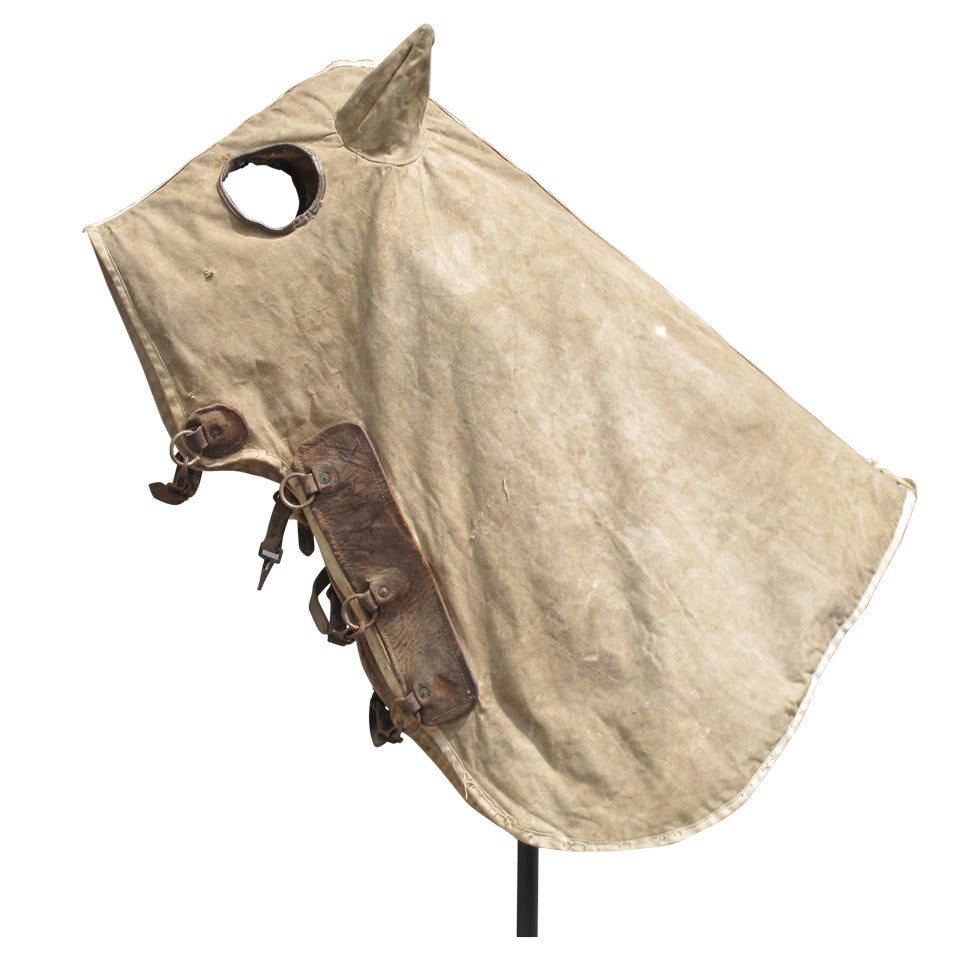 Early Masked Thoroughbred Horse Cloak