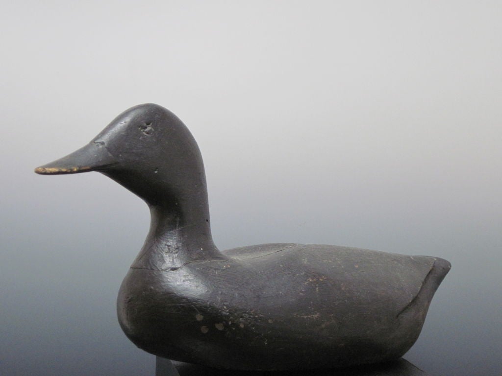 gus wilson decoy