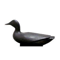 Vintage Gus Wilson Black Duck
