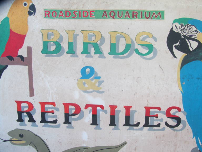 American Birds and Reptiles Roadside Attraction Sign