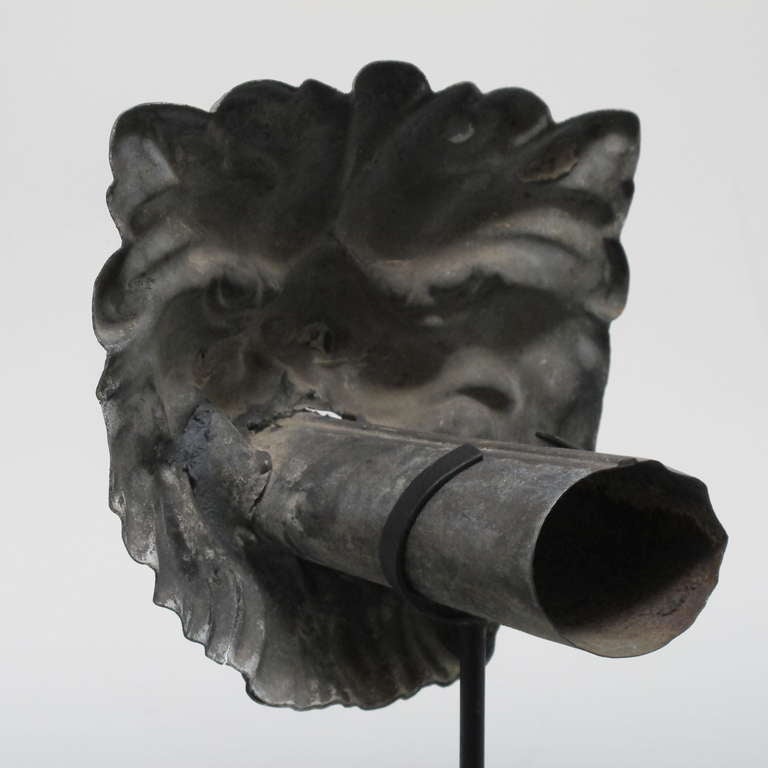 19th Century Tin Lion Head Water Spout
