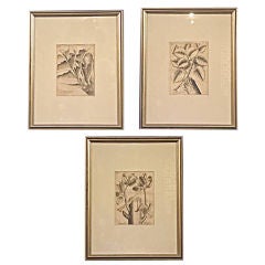 A set of 3 unusual 18th. c. Italian engravings