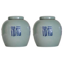 Pair of c. 1900 Chinese Ginger Jars