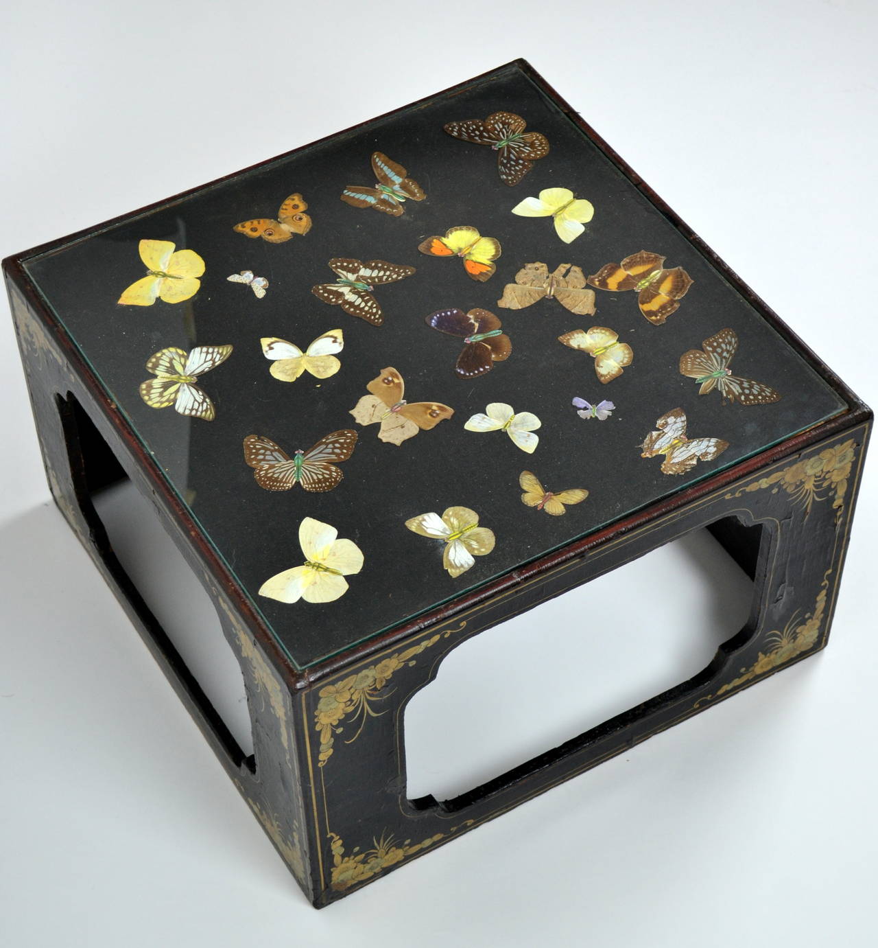 Japanned Edwardian Butterfly Specimen Display Case or End Table, circa 1905 In Good Condition In Camden, ME