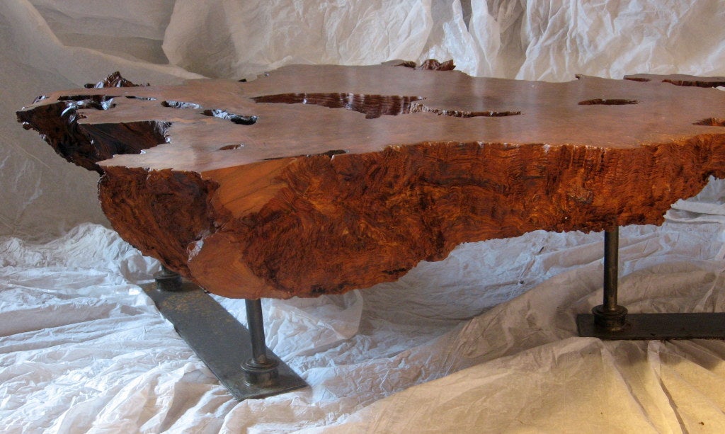 Monumental Oregon Redwood and Iron Live Edge Cocktail Table, 1960-2007 In Good Condition For Sale In Camden, ME