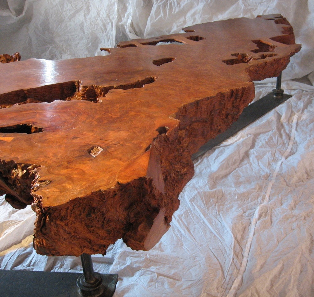 Mid-20th Century Monumental Oregon Redwood and Iron Live Edge Cocktail Table, 1960-2007 For Sale