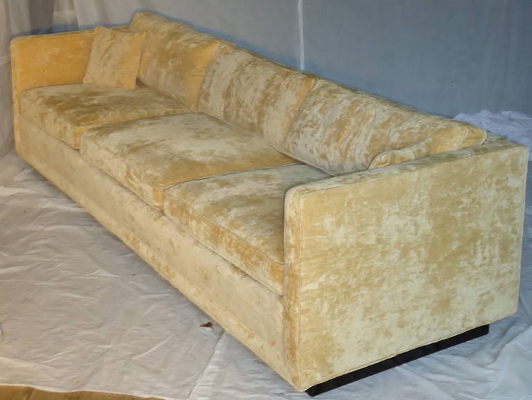 Classic comfortable deep Erwin- Lambeth sofa from 1964 with ebonized wooden runner bases. 8' length.

The sofa is in excellent vintage condition with wear consistent with age . The fabric is a gold velvet..

When purchased through 1stdibs there