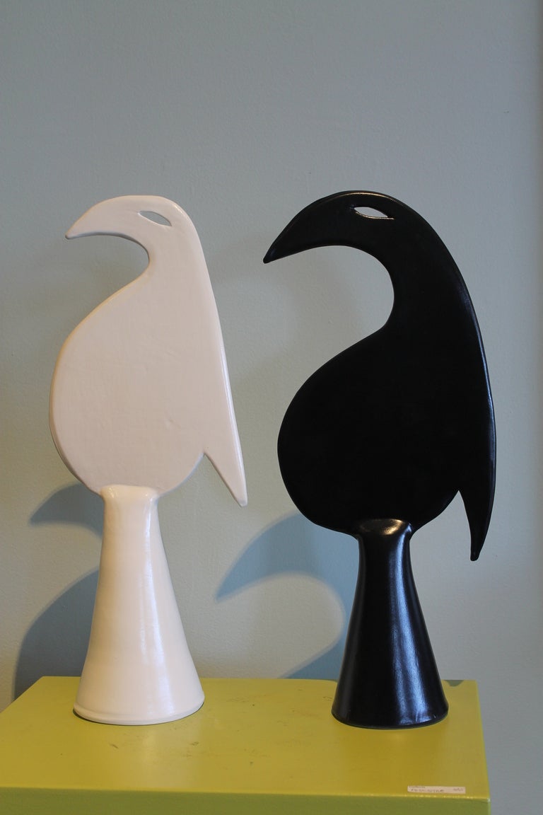 Oiseaux Daric Harvie