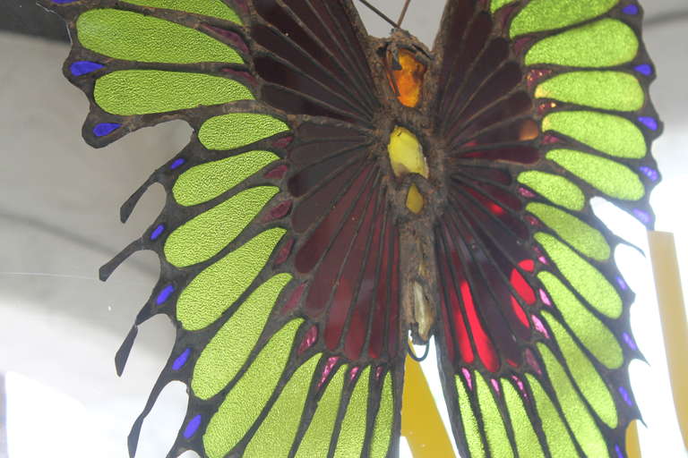 Stained Glass Butterfly, manner of Tiffany 2