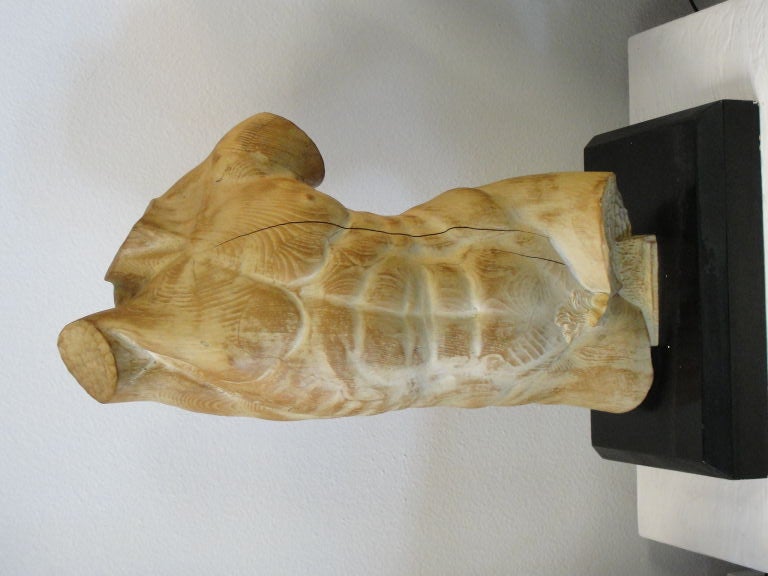 Wood Torso