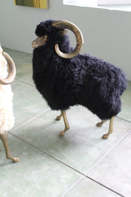 bronze sheep