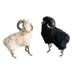 Bronze & Wool Sheep