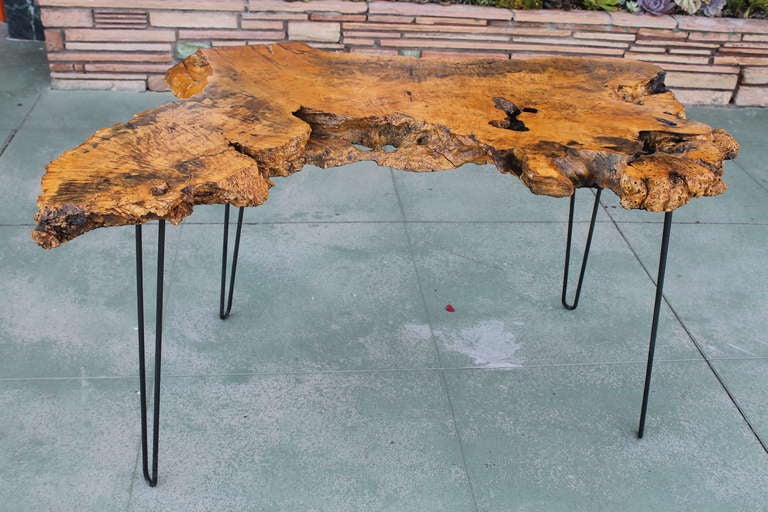California Redwood Burl Table