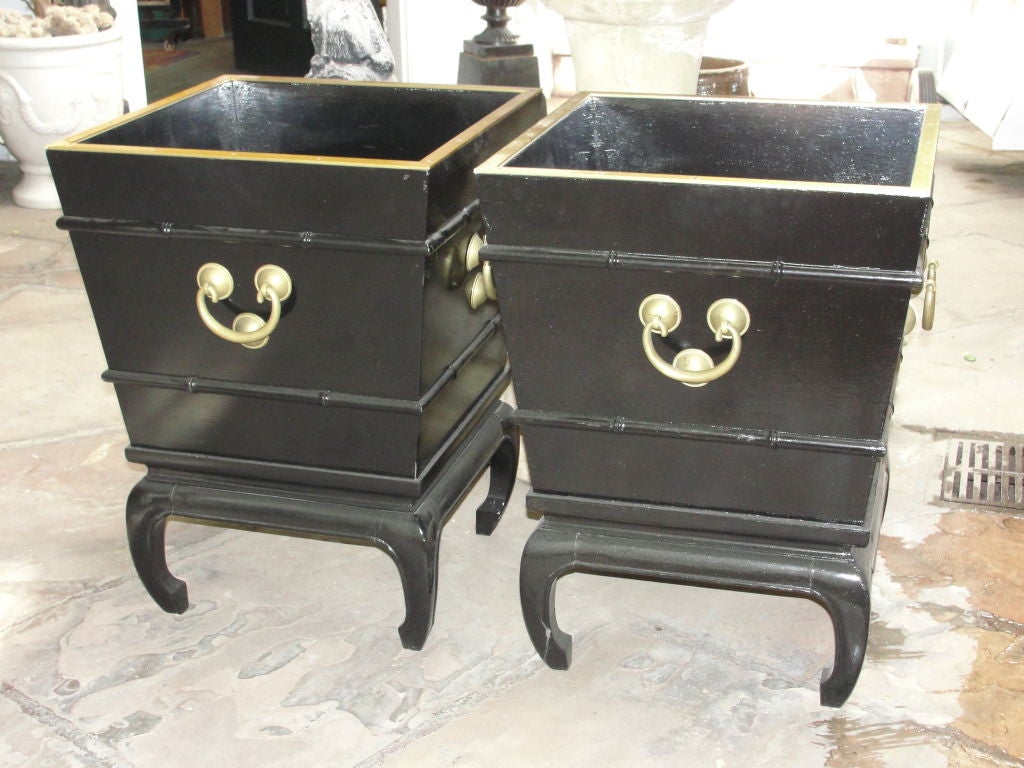 Black Lacquered planter boxes