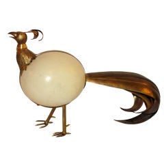 Ostrich Egg Bird