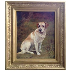 A Fine Labrador by Frances Mabel Hollams