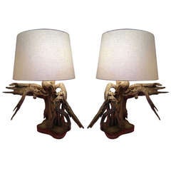 Pair of Chic Driftwood Table Lamps, each on shaped bases, with shades.