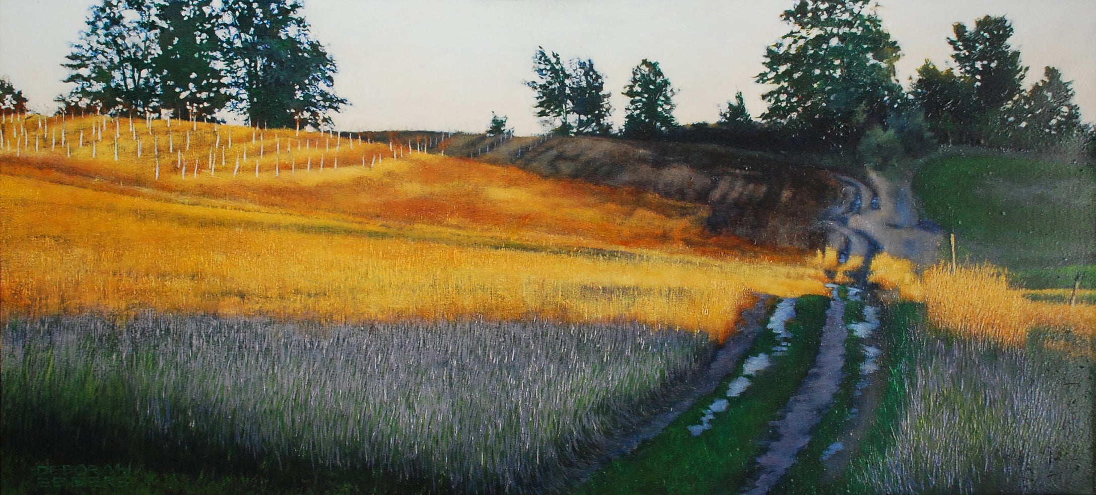 Deborah Ebbers, "Little Field, Illuminated For Sale