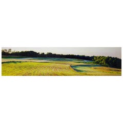 Deborah Ebbers oil painting, "Floating Shadows"