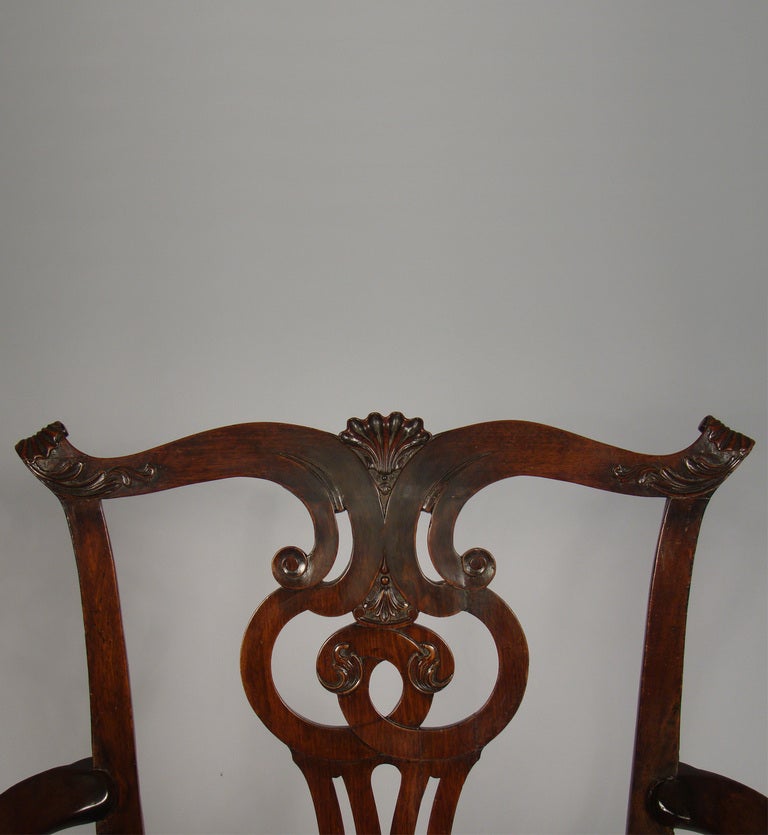 Chippendale Mahogany Arm Chair with Hairy Paw Feet 1