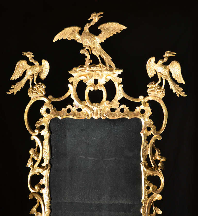 British George II Rococo Mirror With Three Phoenix Birds For Sale