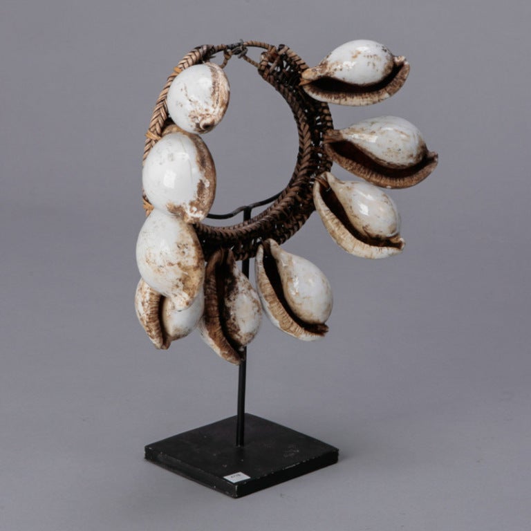 cowrie shell necklace on stand