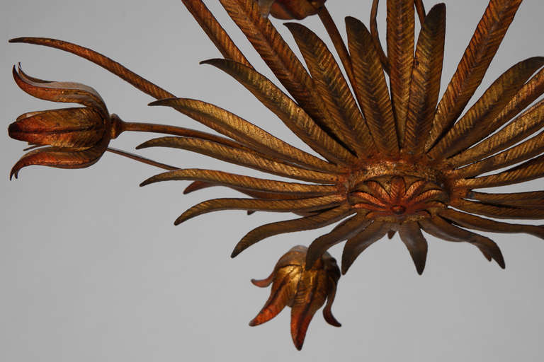 Mid-20th Century Italian Five Light Gilded Tole Floral Sunburst Chandelier