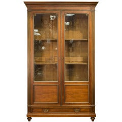 Vintage Louis XVI Style Two-Door Glazed Cupboard with Brass Detailing