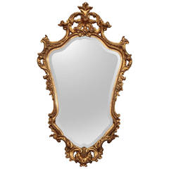 Gilt Resin Carved French Mirror