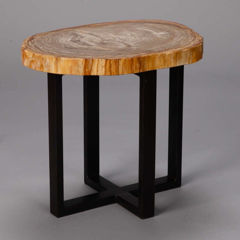 Small Side Table with Petrified Wood Top and Metal Legs at 1stDibs