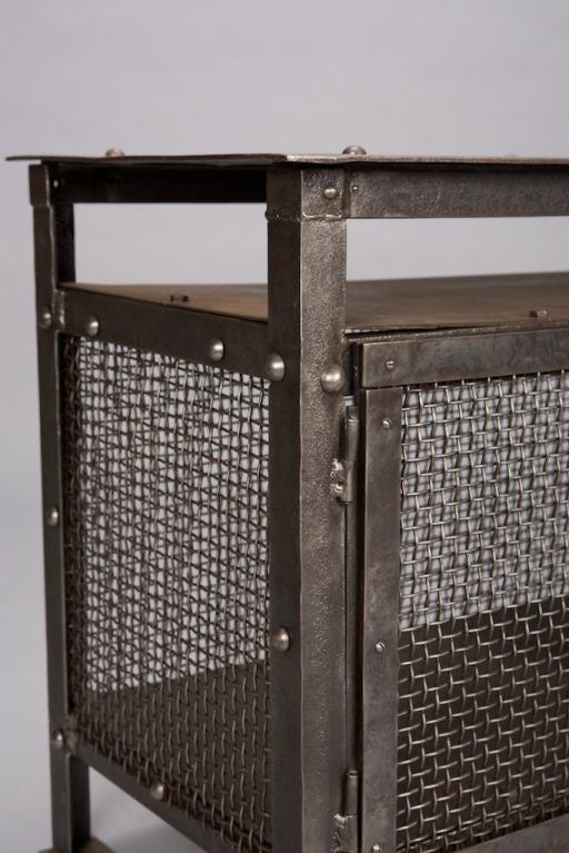 Metal French Industrial Mesh Cabinet