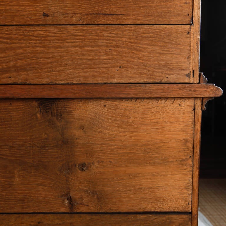 19th Century English Oak Bookcase 5