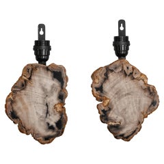 Pair of Sconces with Petrified and Polished Wood