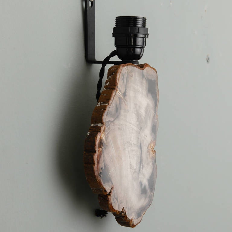 Pair of Sconces with Petrified and Polished Wood In Excellent Condition In Troy, MI