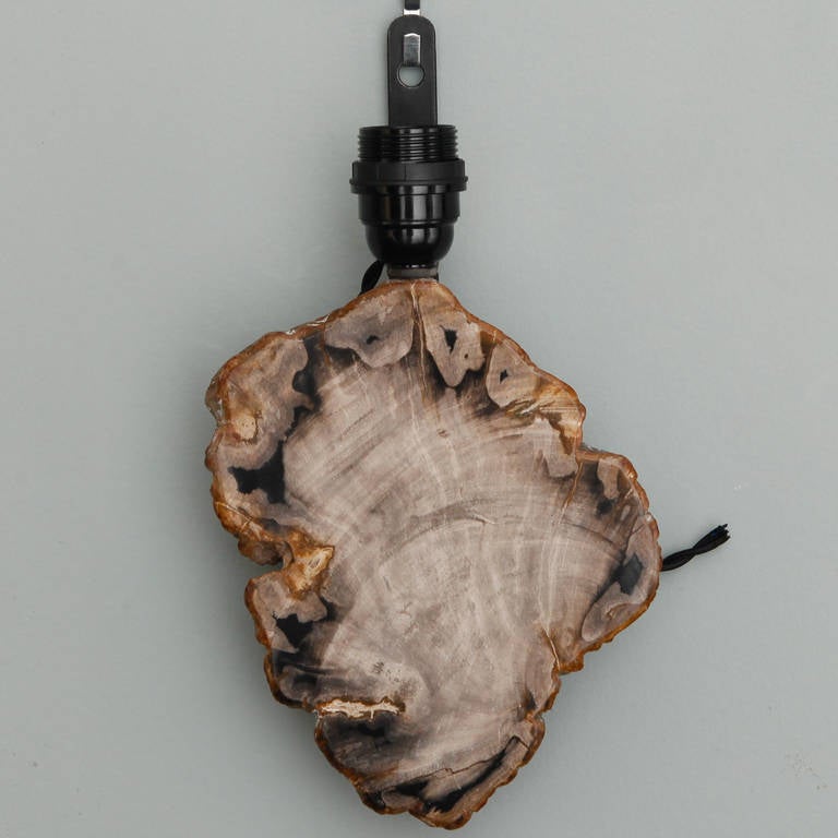 18th Century and Earlier Pair of Sconces with Petrified and Polished Wood