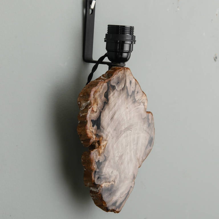Pair of Sconces with Petrified and Polished Wood 2