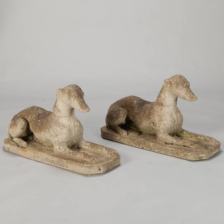 Circa 1900 pair of English cement and stone garden statues in form of whippet dogs. Dogs are depicted in a sphinx-like pose. Surfaces of statues show age, moss and wear from the outdoor elements. Sold and priced as a pair.