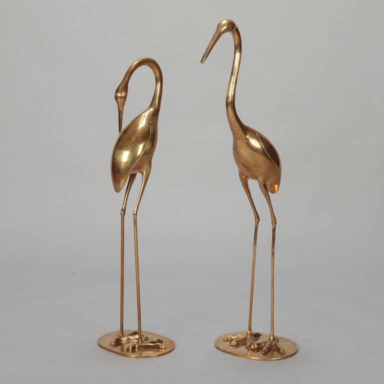 Pair of polished brass herons with beautifully curved necks and long, slender legs, circa 1960s. Measurements shown are for the taller heron. 

Smaller Heron:  28