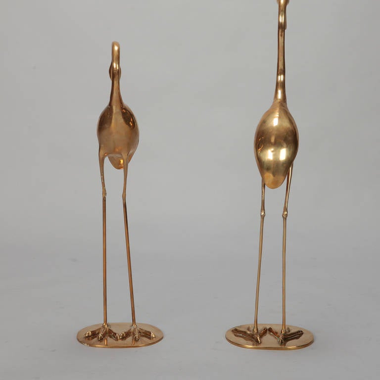 Pair of Tall Mid-Century Polished Brass Herons In Excellent Condition In Troy, MI