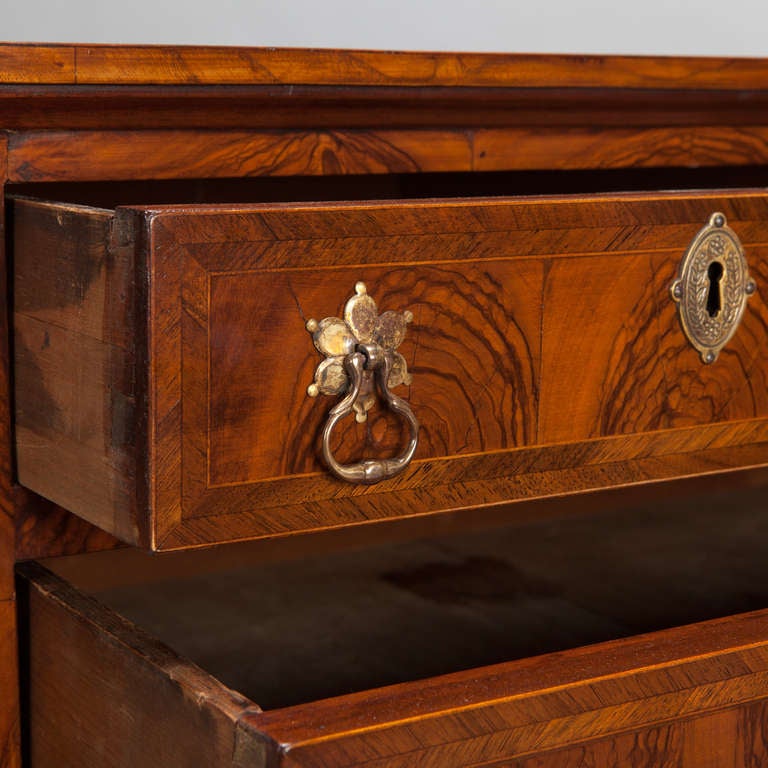 19th Century English Chest of Drawers With Oyster Veneer In Excellent Condition In Troy, MI