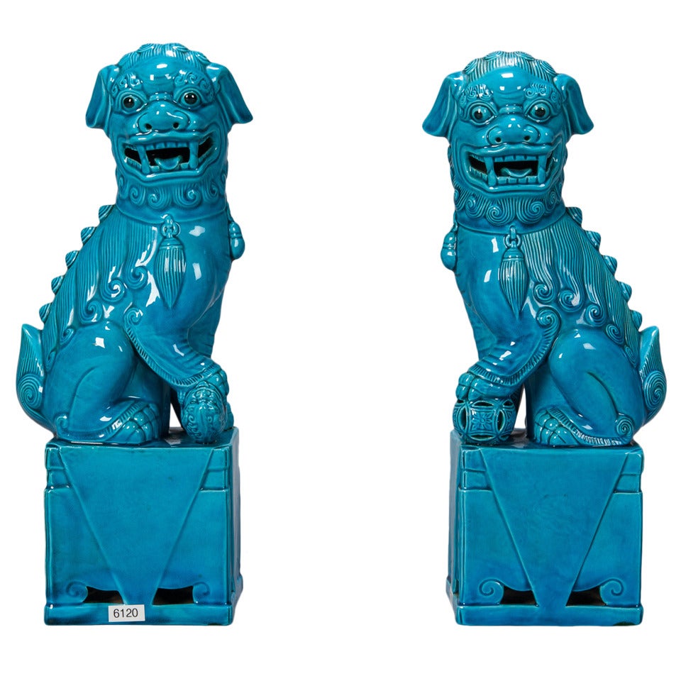 Pair Turquoise Limoges Foo Dogs