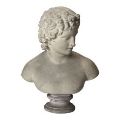 Plaster Bust of Greek Man