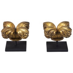 Bronze Capital on Custom Stand