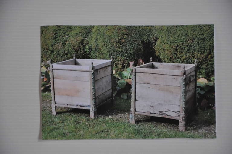 A French 19th Century pair of Versailles planters
