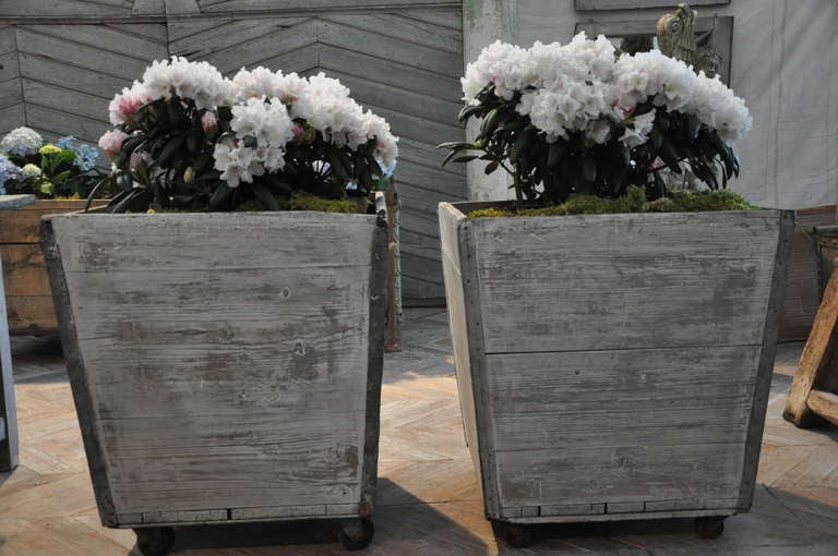 a french pair of  planters originally used for grapes
hard wood with zinc corners circa 1920