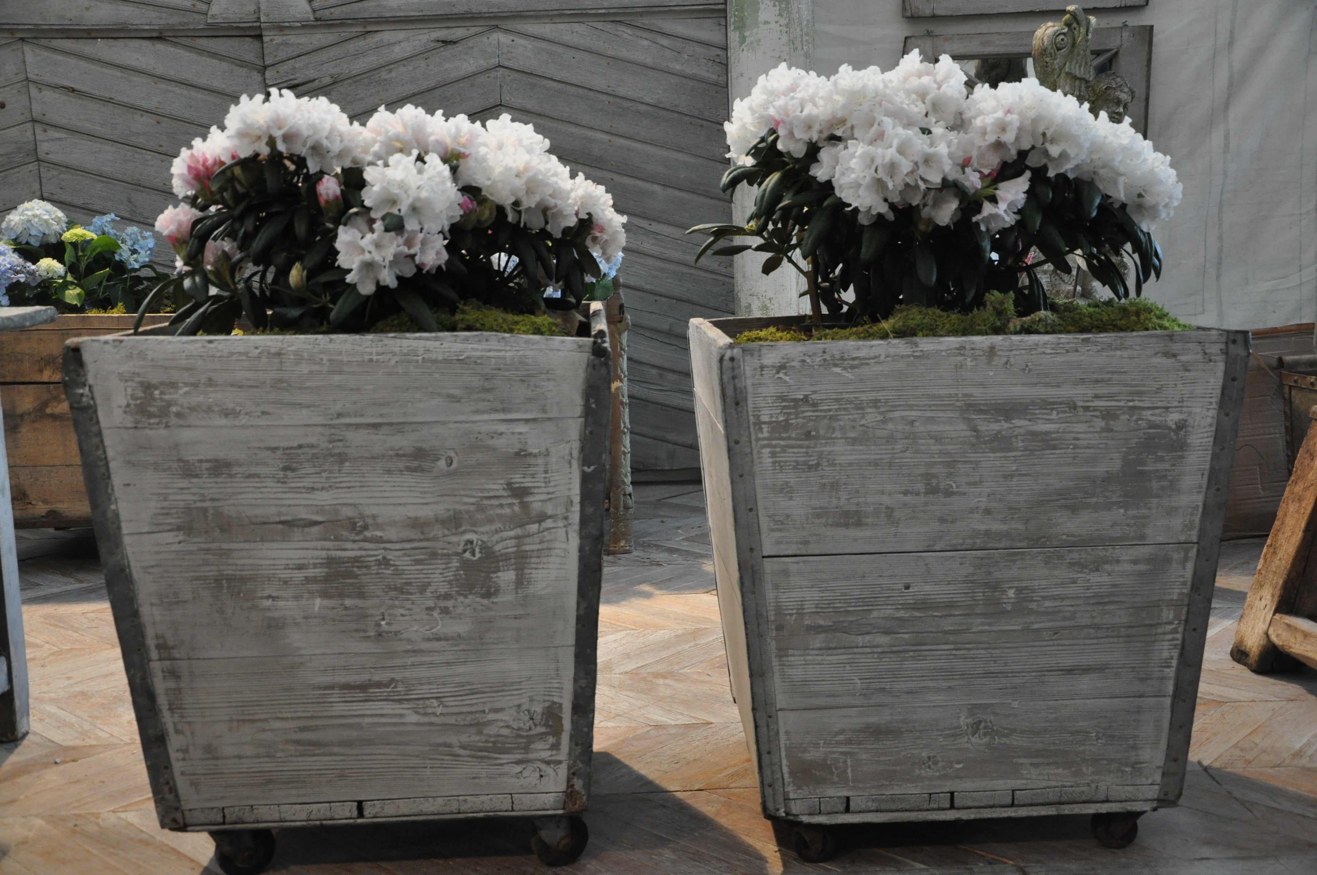 A french pair of planters early 20th century For Sale