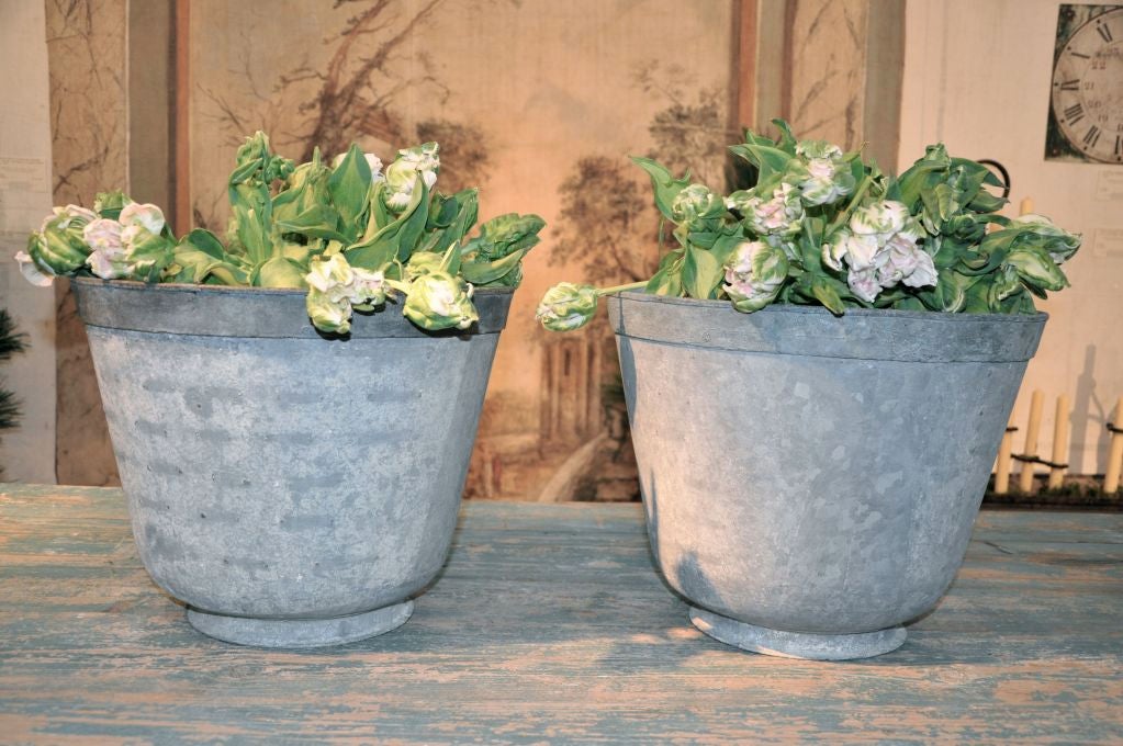 A  Pair of French Nineteenth Century with the Original Patina. <br />
these pots were used for repotting trees and shrub plants from the greenhouses of france.