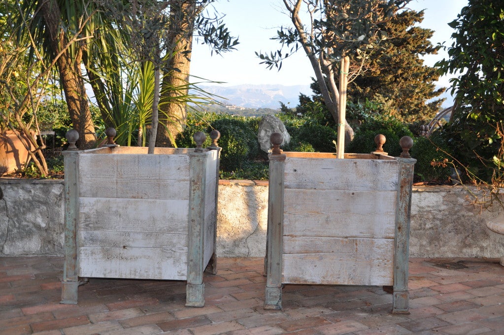 A Pair Of French Nineteenth Century Orange Tree Planters