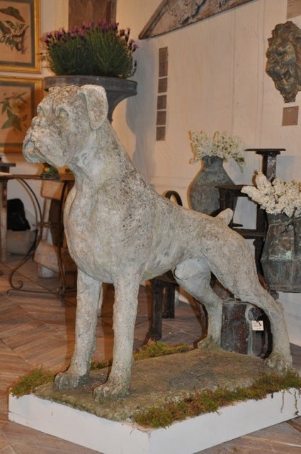 AN EXCEPTIONAL FRENCH 19C STONE BOXER DOG